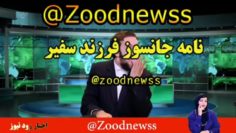 خدایی با این طنز زود نیوز عروس و پسر سفیر رو ترکوند دیدنه