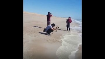 عجب ساحل تمیزی اینجا کجای ایران هست کسی میدونه