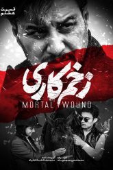 zakhm8