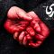 Zakhm Kari – 15 – Final