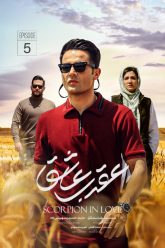 rg81nscYcs8ASwZOZIJm