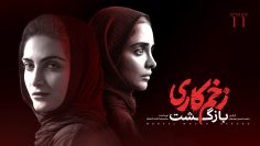 Zakhm Kari – 26